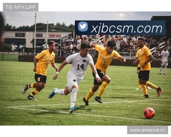 完美体育线上官方入口：官方认证的体育平台，提供全面的赛事信息与互动服务